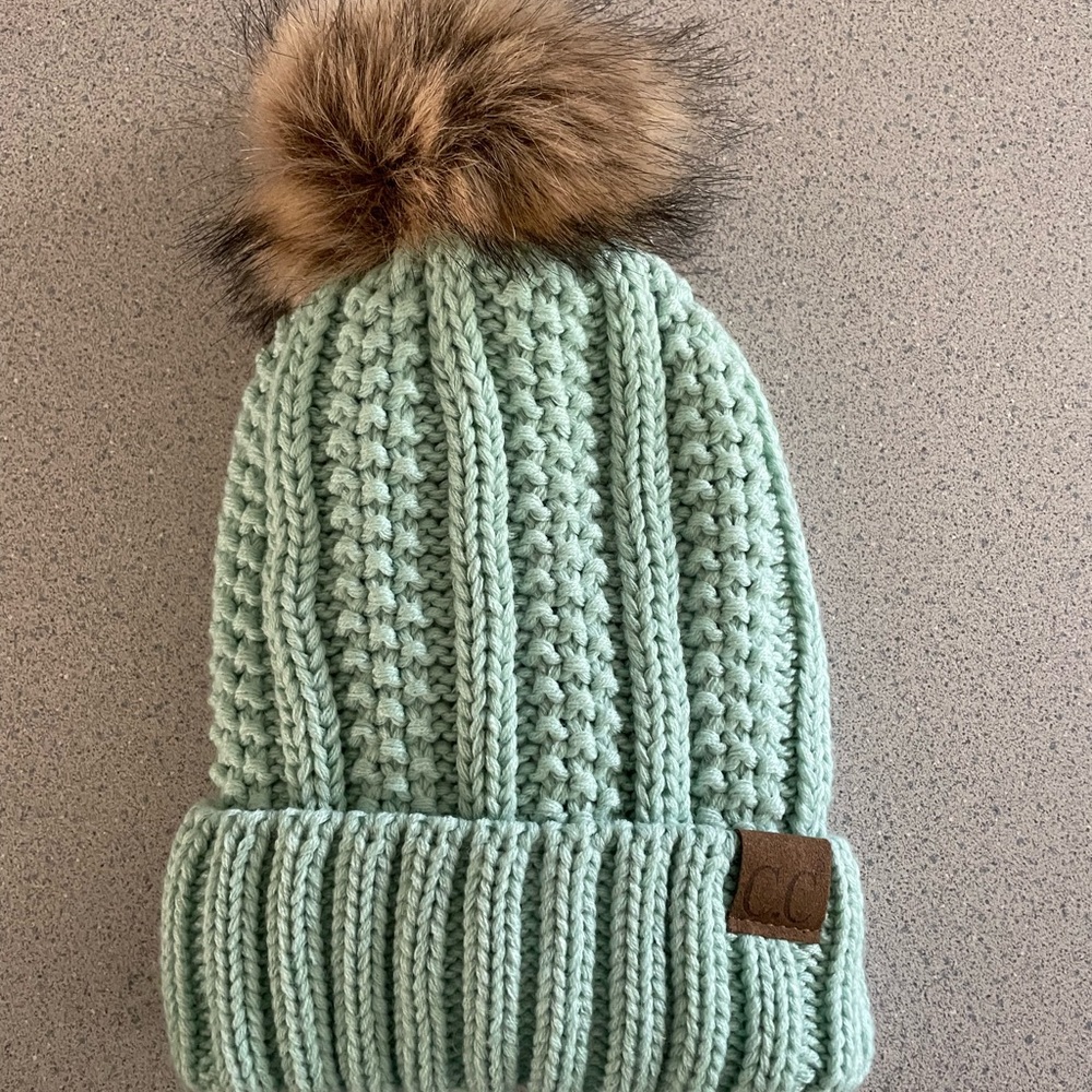 C.C Mint Knit Pom-Pom Hat